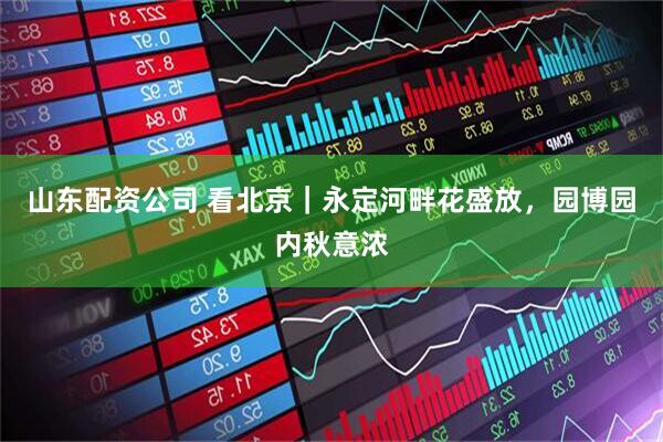 山东配资公司 看北京｜永定河畔花盛放，园博园内秋意浓